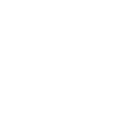 Car crash icon